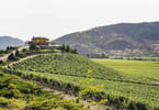 UNWTO wine tourism conference celebrates rural transformation and jobs