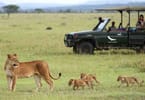 National Parks mark sixty years of conservation success in Tanzania