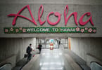 Visitor arrivals to Hawaiian Islands decreased 99.5 percent in April
