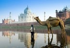 India Travel and Hospitality: Impact of COVID-19