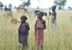 Millions of African Children Risk Child Labor in COVID-19 Crisis