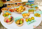 Nevis Mango Festival 2020 Launches Virtual Event