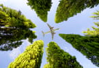 IATA: Post-COVID-19 recovery must embrace sustainable fuels