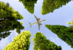 Airlines must forge meaningful partnerships to tackle environmental sustainability