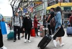 China's domestic tourism on track to recovery