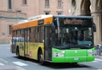 Livorno Italy Bus