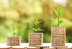 金钱增长 - 图片由 Nattanan Kanchanaprat 在 Pixabay上的提供