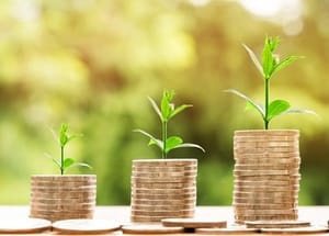 monety grow - image courtesy of Nattanan Kanchanaprat from Pixabay