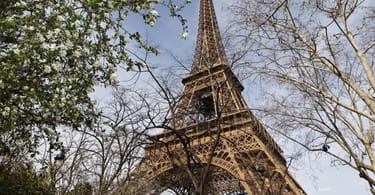 Must-See Paris Tourist Sites Ranked by Instagram