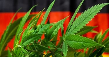 Recreational Marijuana Finally Legalized in Germany