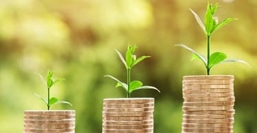 monety grow - የምስል ጨዋነት በ Nattanan Kanchanaprat ከ Pixabay