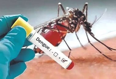 Ho phatloha ha Dengue ho Sokela Bohahlauli Thailand
