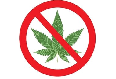 ការជក់បារី Marijuana ត្រូវបានហាមឃាត់នៅស្ថានីយ៍រថភ្លើងអាល្លឺម៉ង់