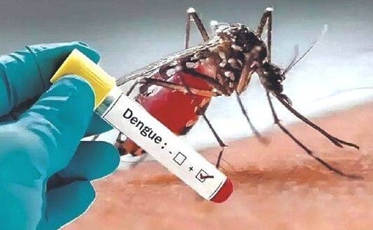 Dengue-udbrud truer turismen i Thailand