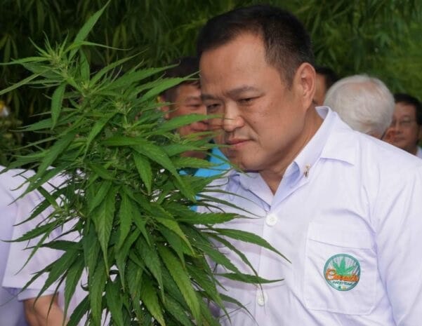 Thailand decriminalizes marijuana for recreational use