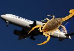 Scorpion attacks United Airlines passenger on San Francisco-Atlanta flight