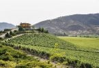 UNWTO wine tourism conference celebrates rural transformation and jobs
