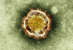India issues China travel advisory as deadly virus cases jump to 136