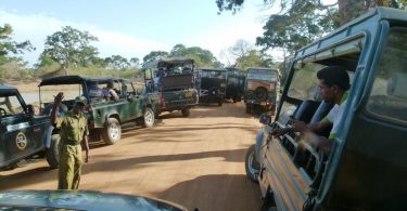 Sri Lanka Wildlife Parks: Post-COVID-19 Operations a New Start?