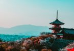 Top 5 Reasons to Visit Japan
