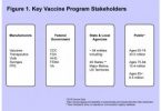key vaccine program stakeholder