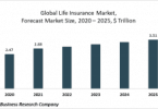 life insurance global market re