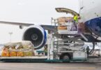 IATA: Strongest First Half-Year Air Cargo Growth Since 2017