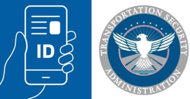 TSA Now Accepts Google Wallet Mobile IDs on Android Devices