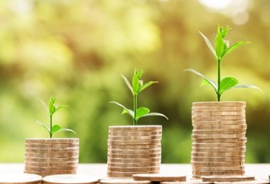 الأموال تنمو - الصورة مقدمة من ناتانان كانشانابرات من Pixabay