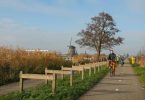 Cycling route that cuts through a Dutch windmill - image courtesy of pexels